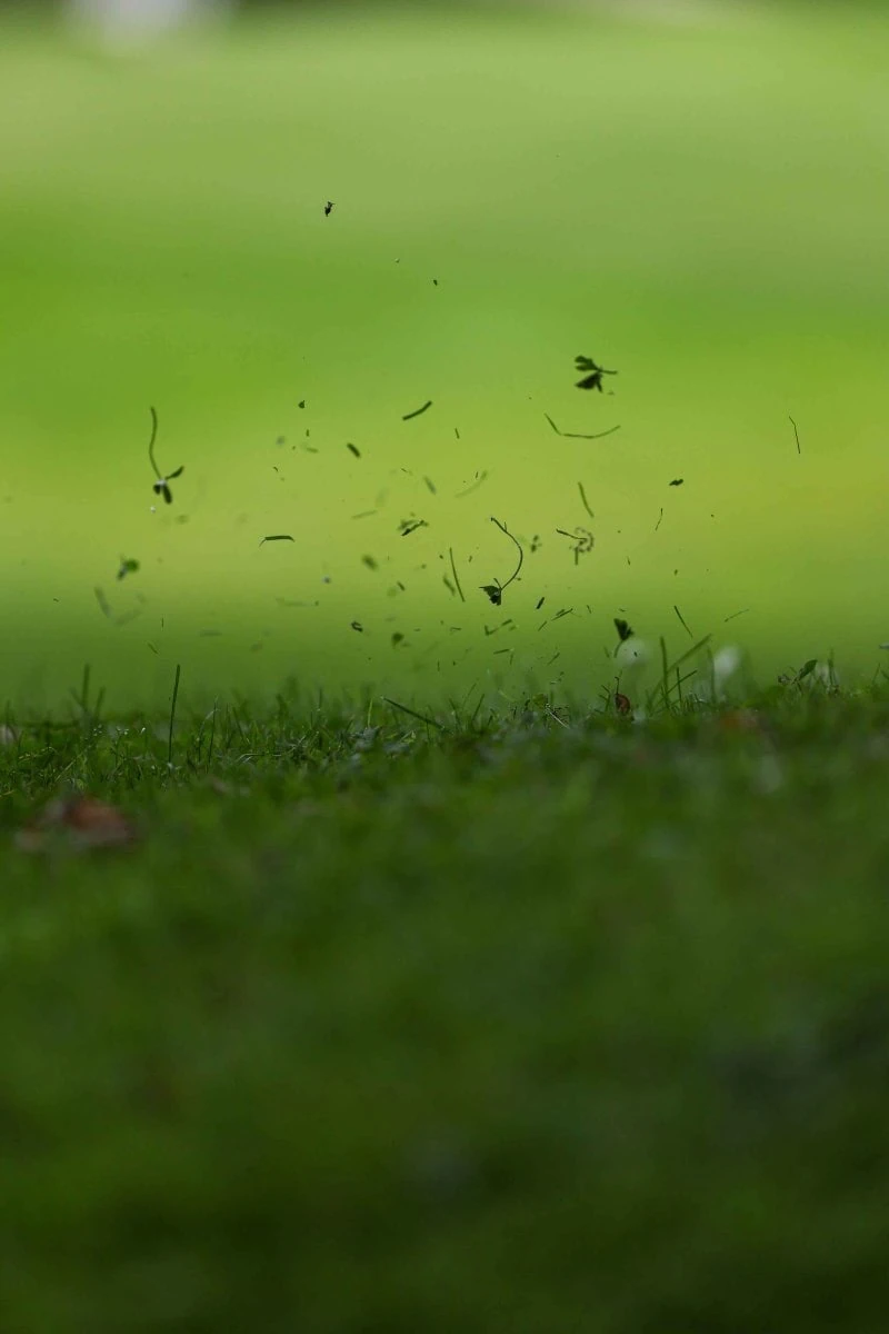 Magliaso: torneo FC Lugano Golf Trophy. Nella foto, un momento durante il torneo.
© Ti-Press / Mattia Martegani Magliaso: torneo FC Lugano Golf Trophy. Nella foto, un momento durante il torneo.
© Ti-Press / Mattia Martegani