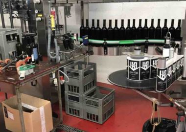 TAMBORINI VINI METTE A DISPOSIZIONE 500 BOTTIGLIE DI SAN ZENO PER IL SETTORE GIOVANILE. 1