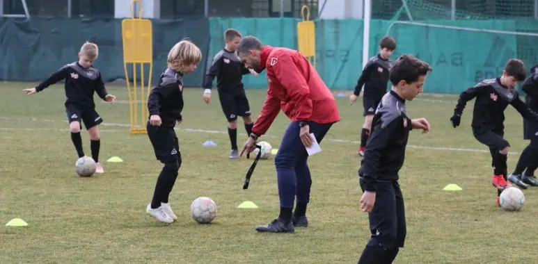 Bozza automatica 112