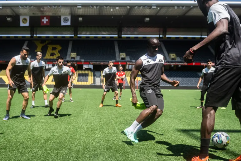 "Siamo qui per domare gli orsi non per farci sbranare" 1