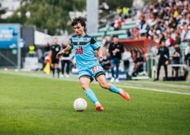 Domare i leoni per l'ennesima volta 1