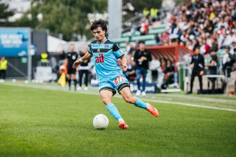 Domare i leoni per l'ennesima volta 1