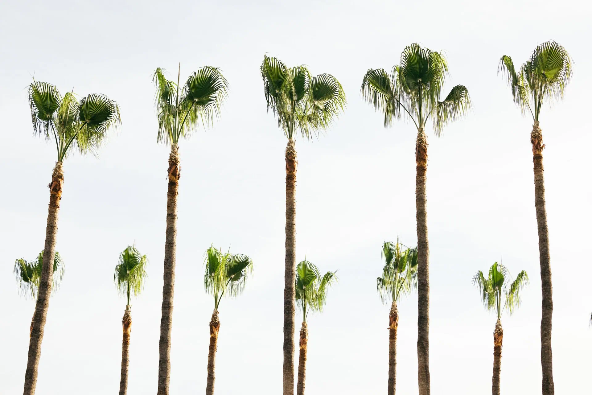 Diario di bordo: Ritiro bianconero a Marbella